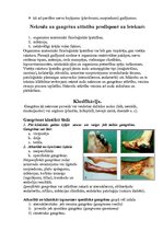 Konspekts 'Nekrozes un gangrēnas', 3.