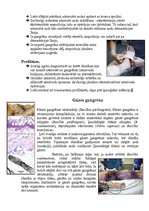 Konspekts 'Nekrozes un gangrēnas', 5.