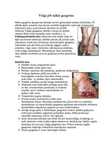 Konspekts 'Nekrozes un gangrēnas', 6.