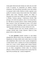 Konspekts 'Gliemenes', 2.