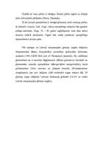 Konspekts 'Gliemenes', 5.