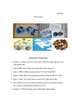 Referāts 'Didaktiskās pieejas izglītības praksē', 17.