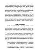 Referāts 'Krāsu estētika un tās nozīme', 8.