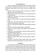 Referāts 'Krāsu estētika un tās nozīme', 11.