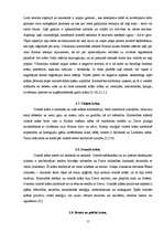 Referāts 'Krāsu estētika un tās nozīme', 15.