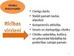 Prezentācija 'Latvijas nacionālais attīstības plāns 2014.-2020.gadam', 11.