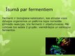 Prezentācija 'Fermenti alus razošanā', 4.