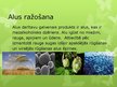 Prezentācija 'Fermenti alus razošanā', 6.