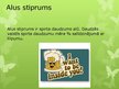 Prezentācija 'Fermenti alus razošanā', 11.