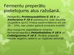 Prezentācija 'Fermenti alus razošanā', 13.