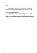 Konspekts 'Tūrisma sektora raksturojums, tūrisma aģentūras', 4.