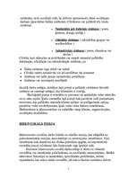 Konspekts 'Sociālā gadījuma pienākumi', 5.