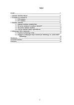 Referāts 'Interneta mārketings', 2.