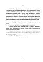 Referāts 'Interneta mārketings', 3.