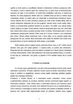 Referāts 'Interneta mārketings', 5.