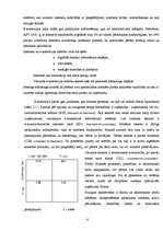 Referāts 'Interneta mārketings', 6.