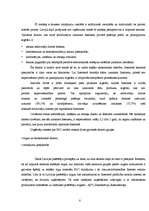 Referāts 'Interneta mārketings', 8.