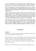 Referāts 'Interneta mārketings', 9.