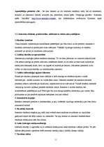 Referāts 'Interneta mārketings', 11.