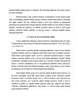 Referāts 'Interneta mārketings', 18.