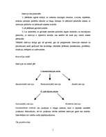 Referāts 'Intervēšana', 5.