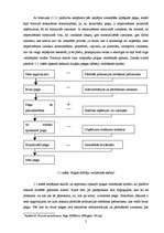Referāts 'Peļņas būtība un tās veidošanās ietekmējošie faktori', 5.