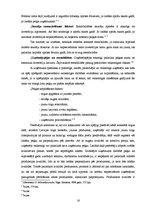 Referāts 'Peļņas būtība un tās veidošanās ietekmējošie faktori', 16.