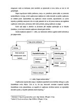 Referāts 'Peļņas būtība un tās veidošanās ietekmējošie faktori', 19.