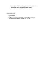 Konspekts 'Sociālā darbinieka lomas', 8.