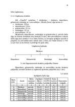 Diplomdarbs 'Uzņēmuma – nodokļu maksātāja vērtējums', 32.