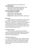 Konspekts 'Roku žesti', 4.