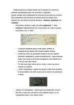 Konspekts 'Roku žesti', 6.