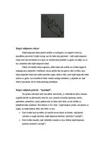 Konspekts 'Roku žesti', 8.