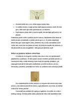 Konspekts 'Roku žesti', 9.