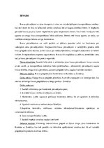 Prakses atskaite 'Kravas piegāde jūras konteineros', 3.