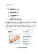 Prakses atskaite 'Kravas piegāde jūras konteineros', 9.
