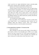 Prakses atskaite 'Kravas piegāde jūras konteineros', 13.