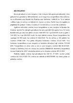 Prakses atskaite 'Kravas piegāde jūras konteineros', 18.