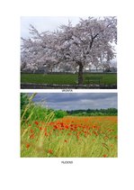 Konspekts 'Nodarbība pirmsskolas bērniem', 5.