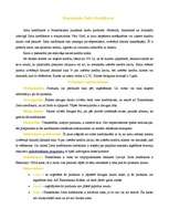 Konspekts 'Produkta raksturojums', 2.