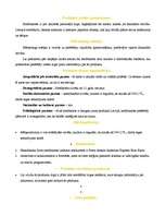 Konspekts 'Produkta raksturojums', 3.