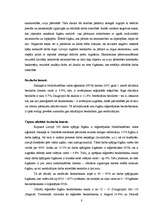 Referāts 'Čigānu tautības iedzīvotāji', 8.