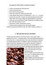 Referāts 'Kafijas lietošana un veselība', 10.