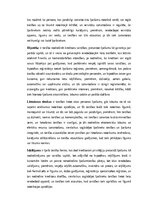 Konspekts 'Lietu tiesības: institūti, tiesību aizsardzība un praktiskā pielietošana Latvijā', 5.