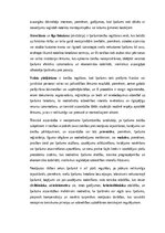 Konspekts 'Lietu tiesības: institūti, tiesību aizsardzība un praktiskā pielietošana Latvijā', 7.