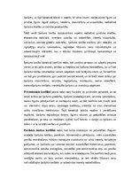 Konspekts 'Lietu tiesības: institūti, tiesību aizsardzība un praktiskā pielietošana Latvijā', 11.