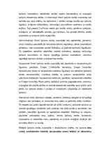 Konspekts 'Lietu tiesības: institūti, tiesību aizsardzība un praktiskā pielietošana Latvijā', 19.