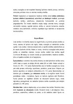 Konspekts 'Lietu tiesības: institūti, tiesību aizsardzība un praktiskā pielietošana Latvijā', 27.