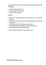 Referāts 'Pašvaldību attīstība un funkcijas Latvijā', 8.