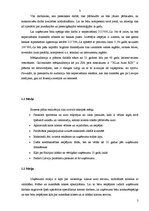 Biznesa plāns 'SIA "XLux Auto RIX"', 3.